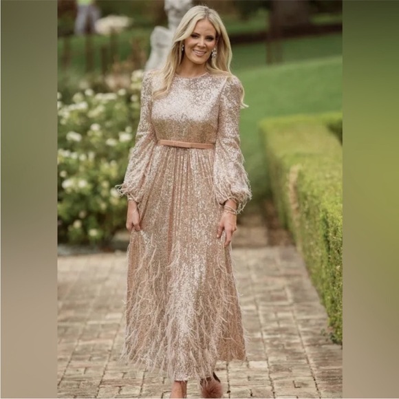 Antonio Melani Sequin Feathered A-line Dress Size 2 NWT - Picture 2 of 12